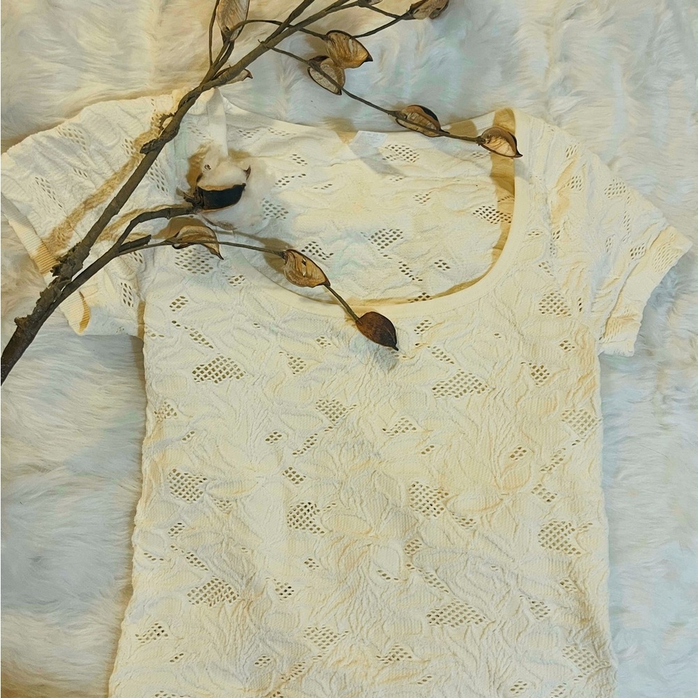 Elegant Cream Lace Women's Top